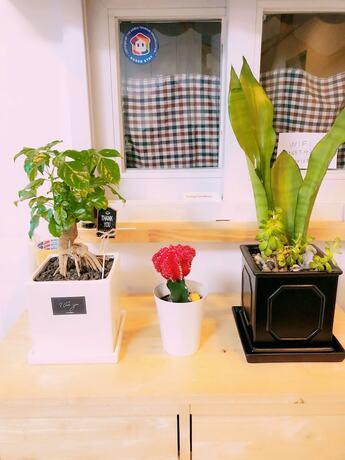 Imagen general del Hotel Sarang Guesthouse Dongdaemun. Foto 12