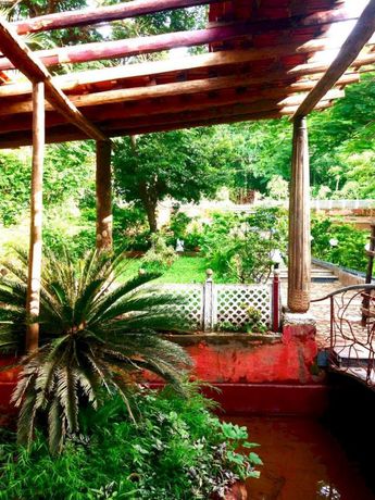 Imagen de los interiores del Hotel Saraya Art Cafe B&B. Foto 16