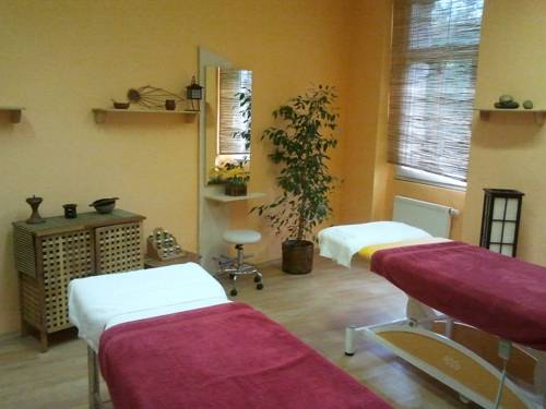 Imagen de la habitación del Hotel Saraya Wellness & Penzion. Foto 4