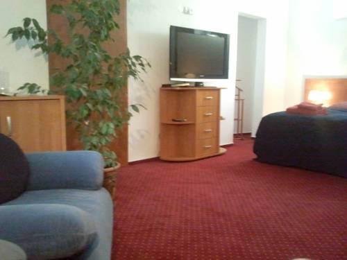 Imagen de la habitación del Hotel Saraya Wellness & Penzion. Foto 5
