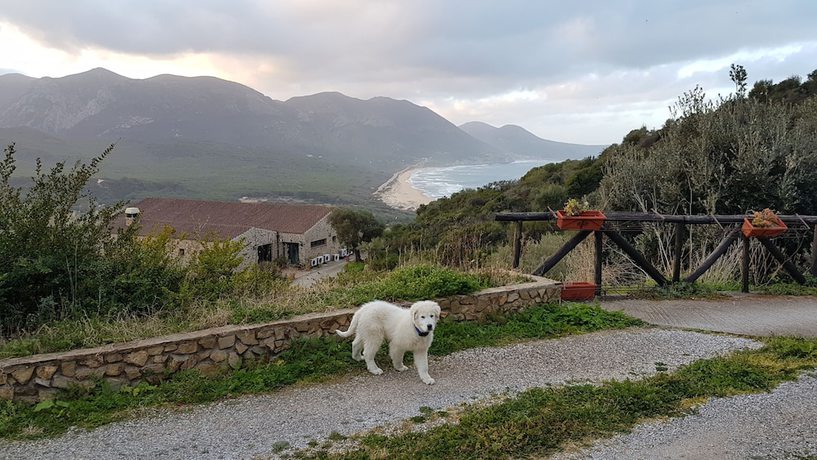 Imagen de los exteriores del Hotel Sardus Pater. Foto 17