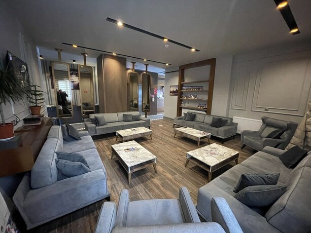 Imagen de los interiores del Hotel Sarikamis Aras Otel. Foto 31