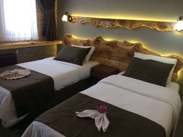 Imagen de la habitación del Hotel Sarikamis Kayi Snow Otel. Foto 3