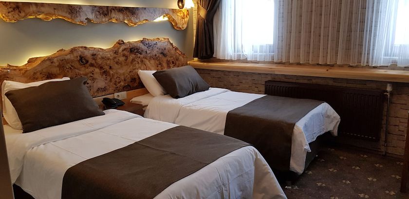 Imagen de la habitación del Hotel Sarikamis Kayi Snow Otel. Foto 4