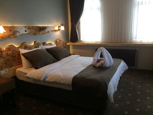 Imagen de la habitación del Hotel Sarikamis Kayi Snow Otel. Foto 5