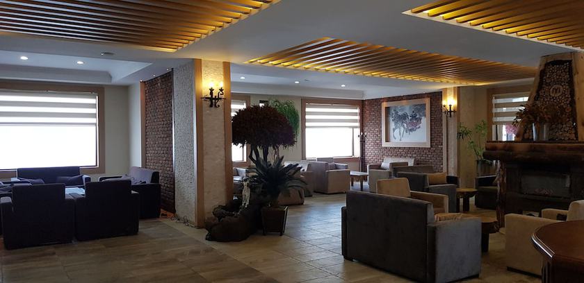 Imagen de los interiores del Hotel Sarikamis Kayi Snow Otel. Foto 18
