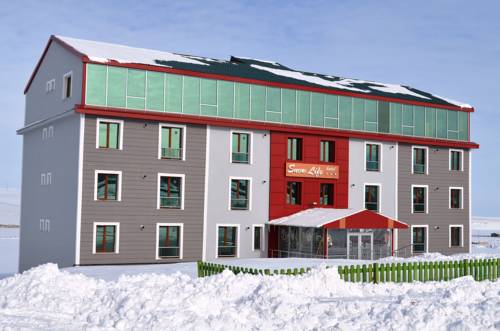 Imagen de la habitación del Hotel Sarikamis Snow Life. Foto 4