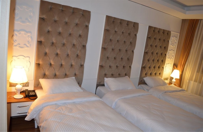Imagen de la habitación del Hotel Sarikamis Snowflake Dağ Oteli. Foto 6