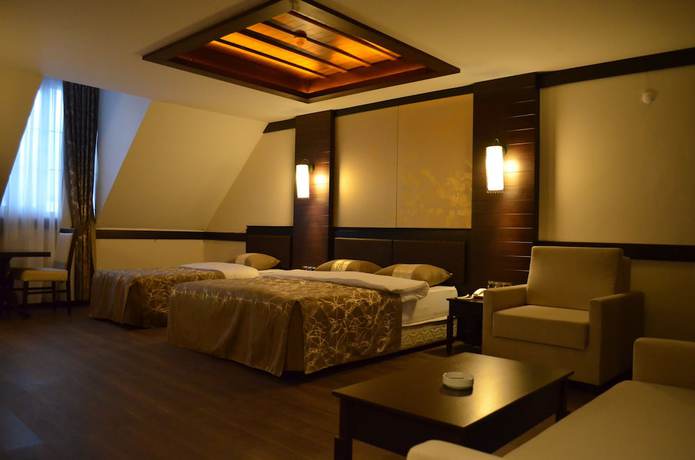 Imagen de la habitación del Hotel Sarikamis White Park. Foto 5