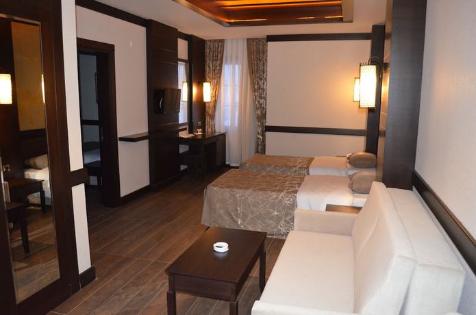 Imagen de la habitación del Hotel Sarikamis White Park. Foto 8