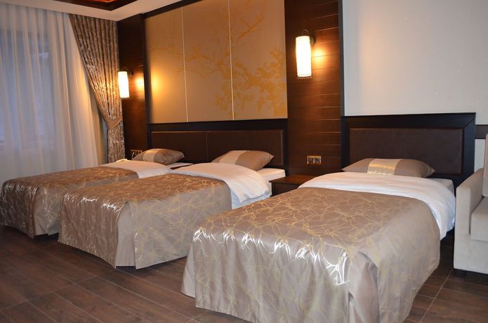 Imagen de la habitación del Hotel Sarikamis White Park. Foto 10