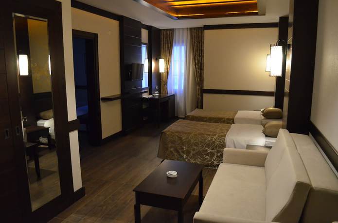 Imagen de la habitación del Hotel Sarikamis White Park. Foto 13