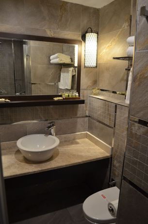 Imagen de la habitación del Hotel Sarikamis White Park. Foto 14