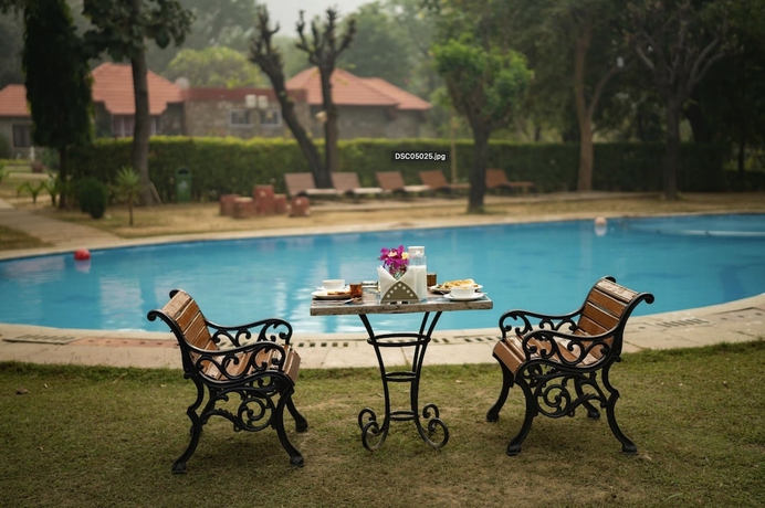 Imagen de la piscina del Hotel Sariska Tiger Heaven Resort. Foto 13