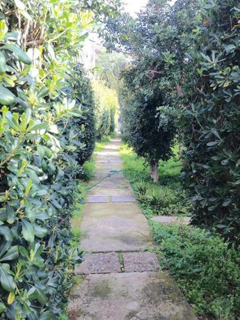 Imagen de los exteriores del Hotel Sariza Spring. Foto 8