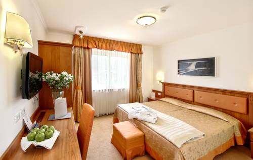 Imagen de la habitación del Hotel Sartori's. Foto 15