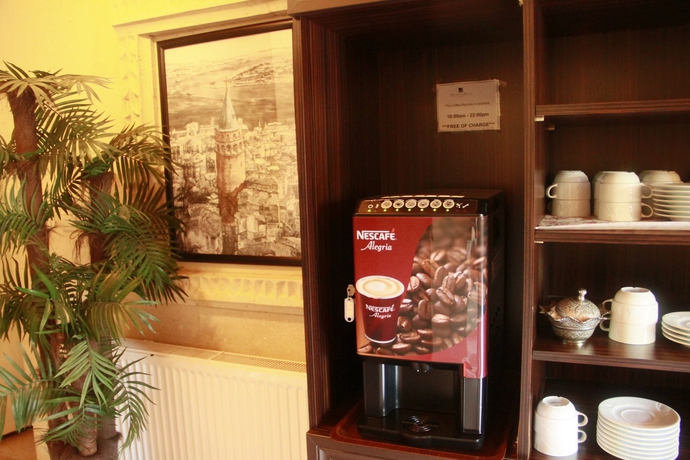 Imagen de los interiores del Hotel Saruhan. Foto 13