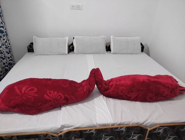 Imagen de la habitación del Hotel Sarvaheet. Foto 5