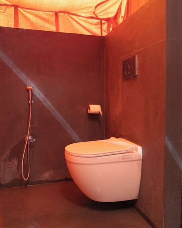 Imagen de la habitación del Hotel Saser Scenic Pangong. Foto 12