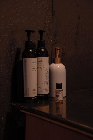 Imagen de la habitación del Hotel Saser Scenic Pangong. Foto 15