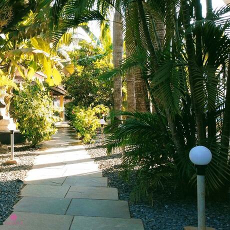 Imagen general del Hotel Sashas Holiday Village. Foto 7