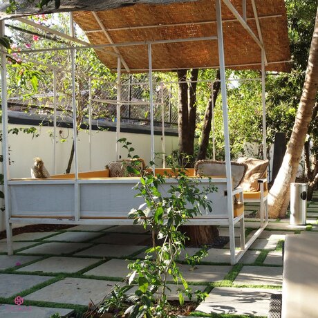 Imagen general del Hotel Sashas Holiday Village. Foto 8