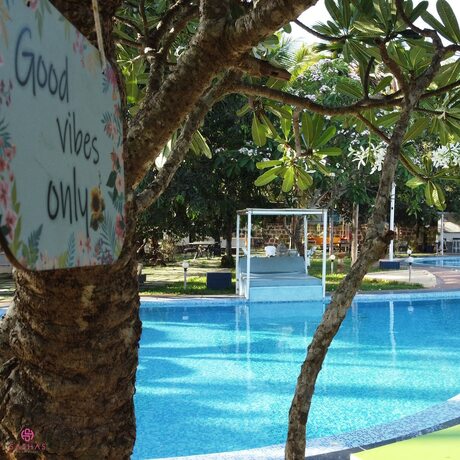 Imagen general del Hotel Sashas Holiday Village. Foto 9