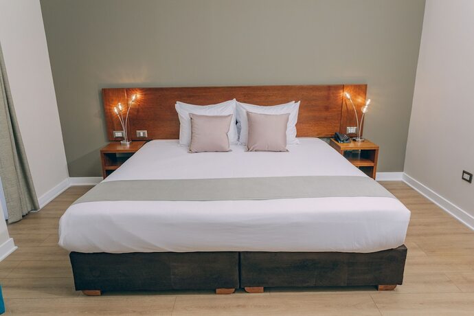 Imagen general del Hotel Saska Boutique. Foto 5