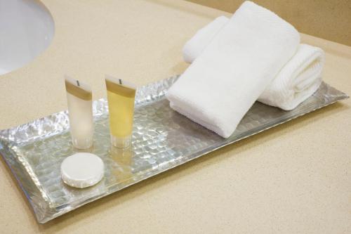 Imagen de la habitación del Hotel Saskatoon Inn. Foto 3