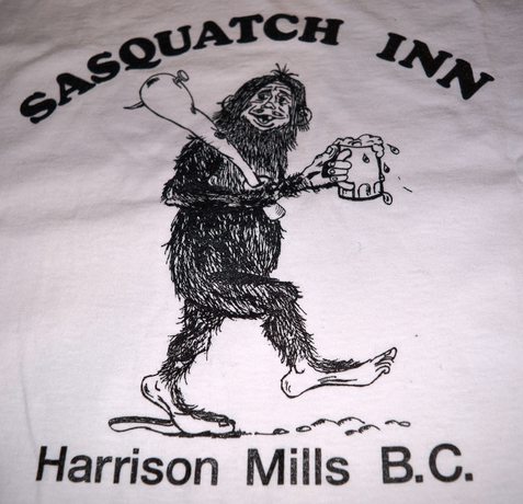 Imagen de los interiores del Hotel Sasquatch Inn. Foto 16