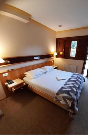 Imagen de la habitación del Hotel Sat&eacute;lite Campos Do Jord&atilde;o. Foto 8