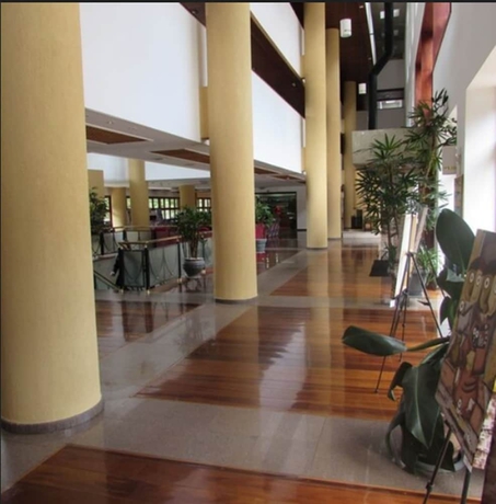 Imagen de los interiores del Hotel Sat&eacute;lite Campos Do Jord&atilde;o. Foto 17