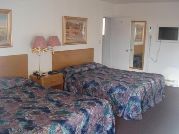 Imagen de la habitación del Hotel Satelite Motel. Foto 5