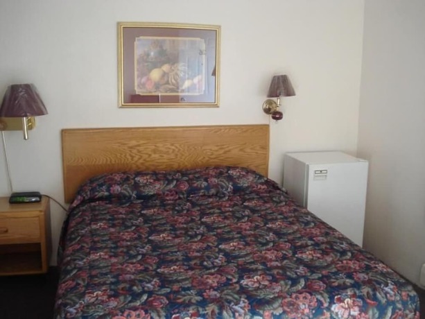 Imagen de la habitación del Hotel Satelite Motel. Foto 10