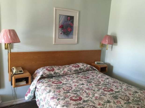 Imagen de la habitación del Hotel Satelite Motel. Foto 14