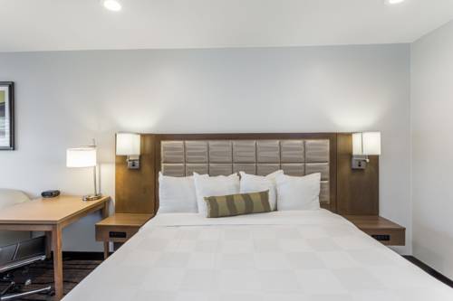 Imagen de la habitación del Hotel Sather Berkeley, Surestay Collection By Best Western. Foto 7