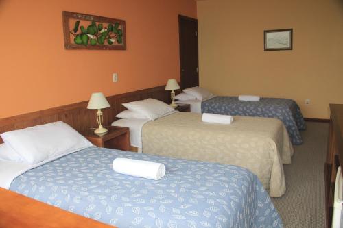Imagen de la habitación del Hotel S&atilde;o Gotardo. Foto 20