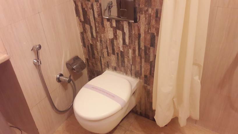 Imagen de la habitación del Hotel Satya Ashoka. Foto 5
