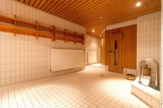 Imagen de la piscina del Hotel Sauerbrey. Foto 18