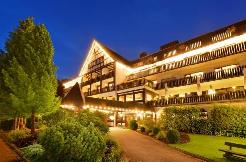 Imagen general del Hotel Sauerland Alpin. Foto 4