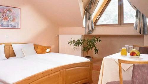 Imagen de la habitación del Hotel Sauerl&auml;nder Hof. Foto 3