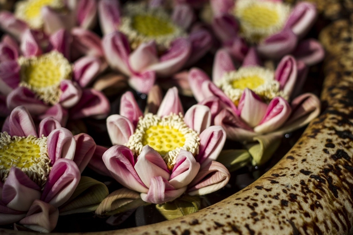 Imagen general del Hotel Savada Angkor Boutique. Foto 12