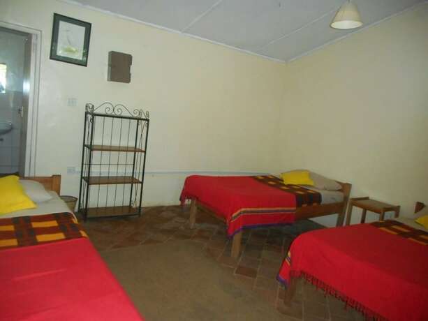 Imagen de la habitación del Hotel Savage Wilderness - Hostel. Foto 2