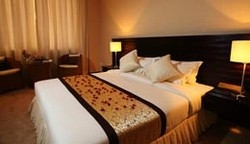 Imagen de la habitación del Hotel Savan Vegas And Casino. Foto 3