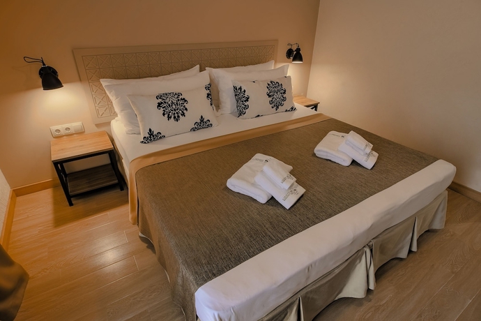 Imagen de la habitación del Hotel Savaneti. Foto 4