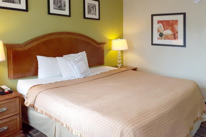 Imagen de la habitación del Hotel Savannah Garden. Foto 8