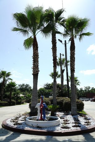 Imagen general del Hotel Savannah Inn and Suites. Foto 2
