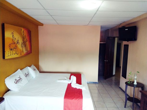 Imagen de la habitación del Hotel Savaro. Foto 18