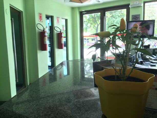 Imagen de los interiores del Hotel Saville. Foto 18