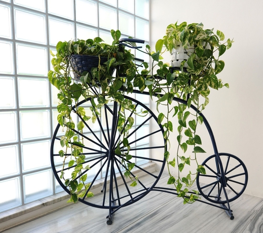 Imagen de los interiores del Hotel Savoia, Lido Di Jesolo. Foto 16